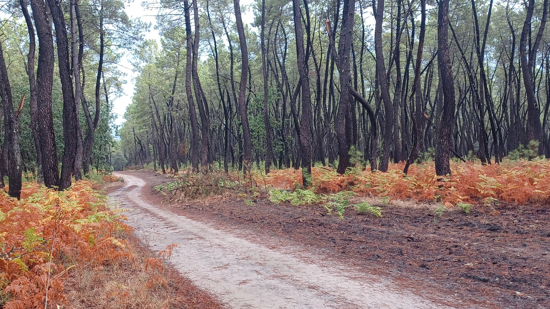 Fincas Administradas por Cándido Pérez Lozano