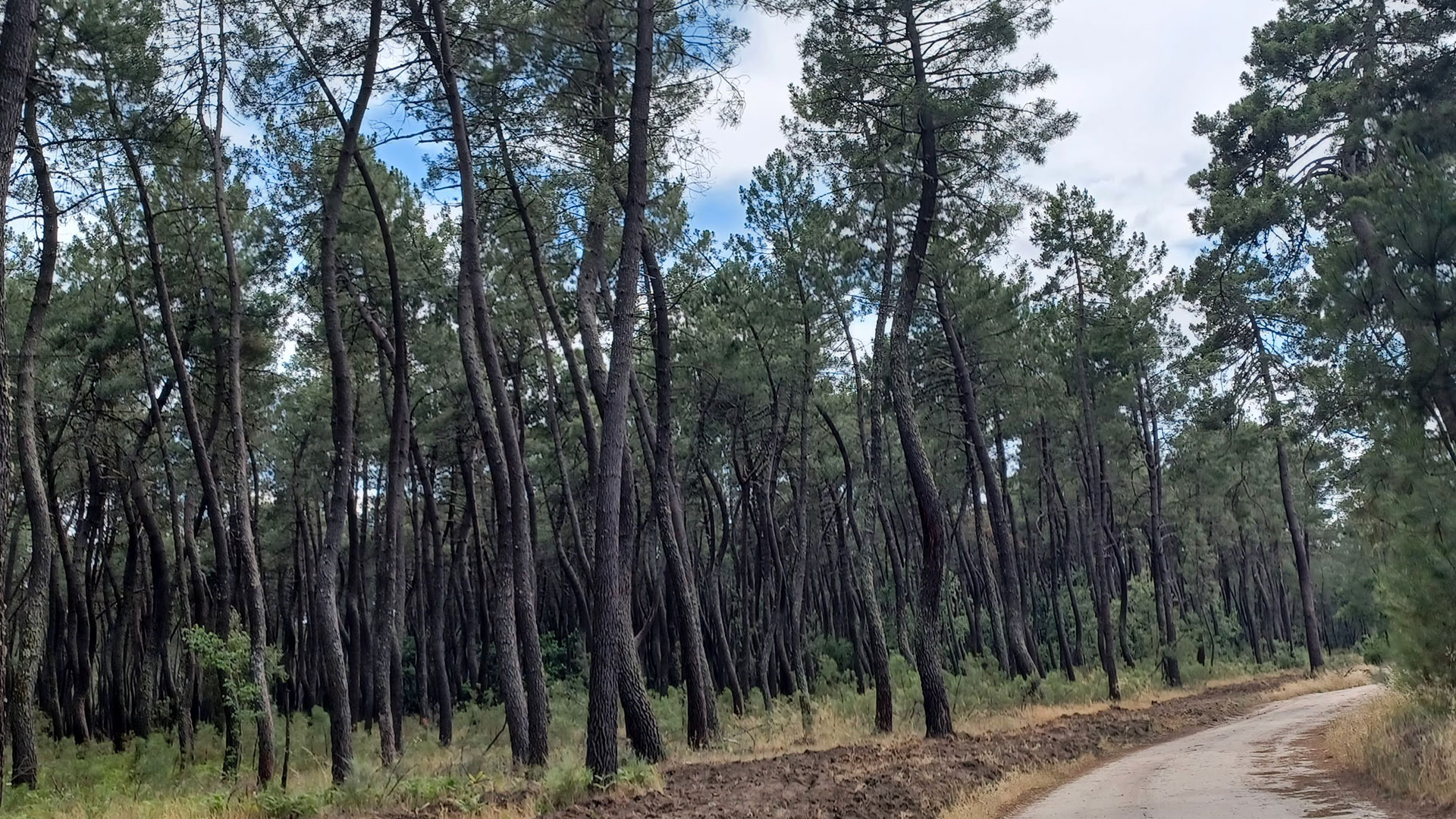 Fincas Administradas por Cándido Pérez Lozano